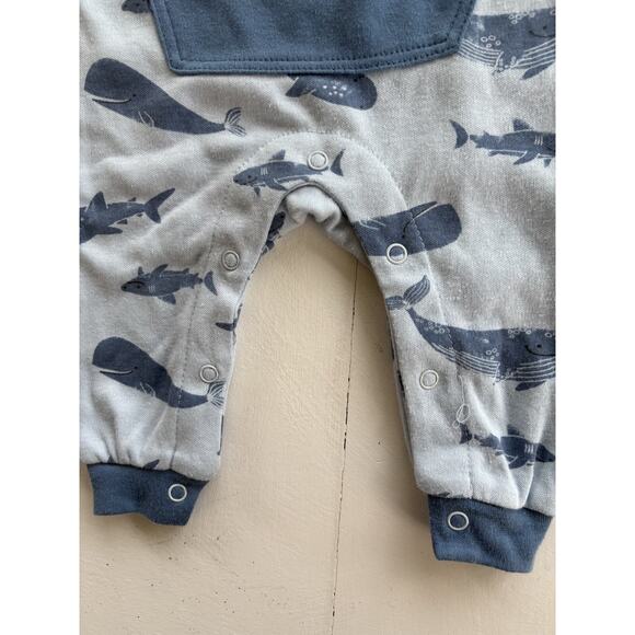 Rabbit + Bear Boys Shark Outfit Size 3-6M NWOT - Picture 2 of 5